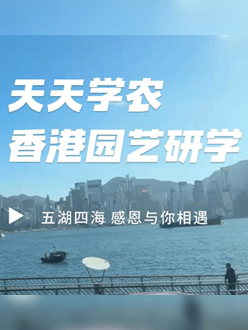 与香港园艺学会联合举办香港园艺研学，专业园境师带队讲解。